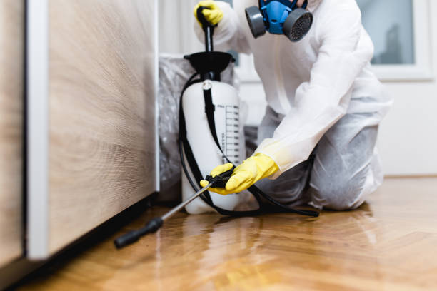 Best Ant Control Services  in Maurice, LA