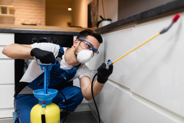 Best Bed Bug Extermination  in Maurice, LA