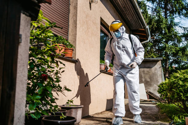 Trusted Maurice, LA Pest Control Experts
