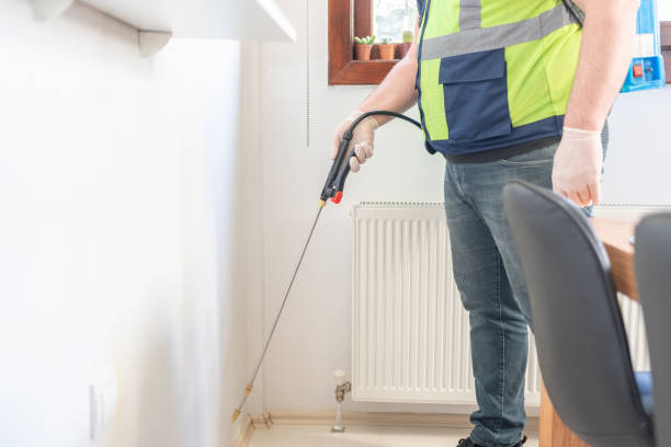 Best Pest Removal Services  in Maurice, LA