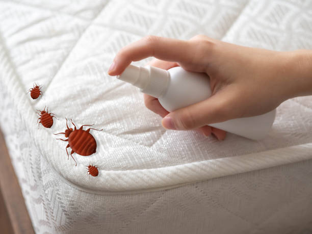 Best Pest Prevention Services  in Maurice, LA