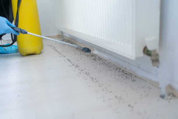 Best Cockroach Control Services  in Maurice, LA
